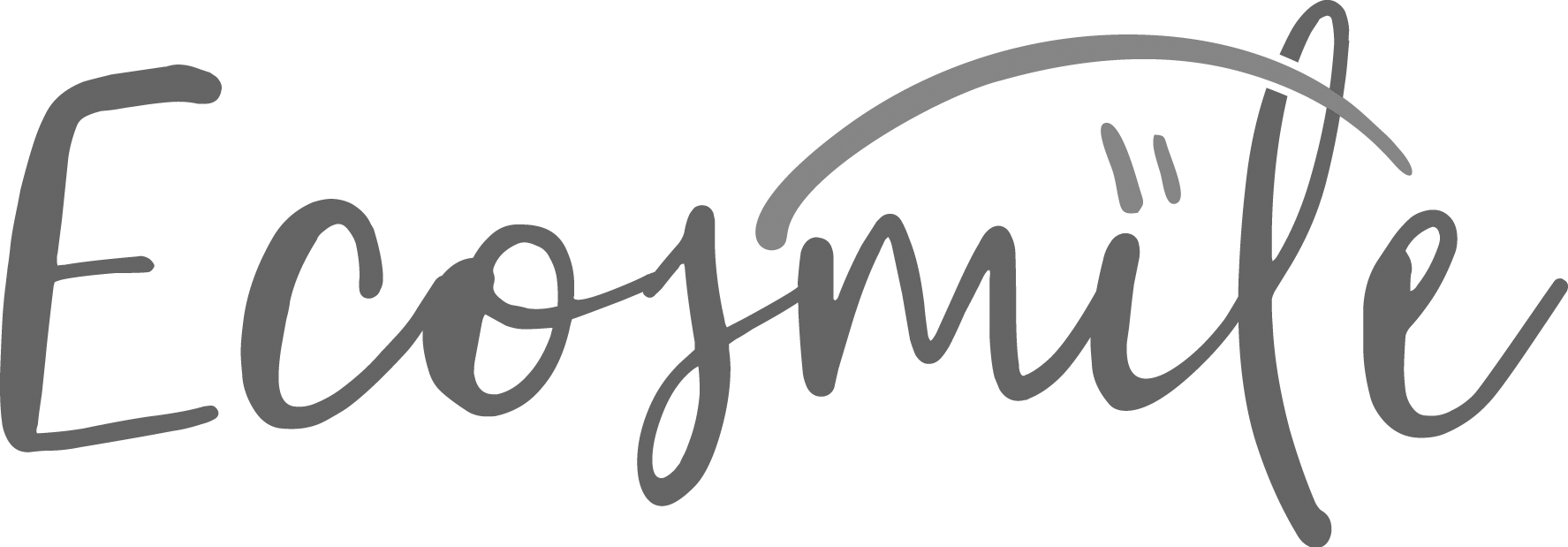 Ecosmile footer logo